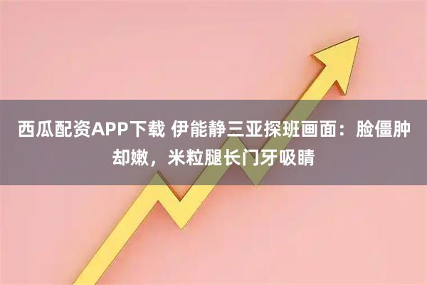 西瓜配资APP下载 伊能静三亚探班画面：脸僵肿却嫩，米粒腿长门牙吸睛
