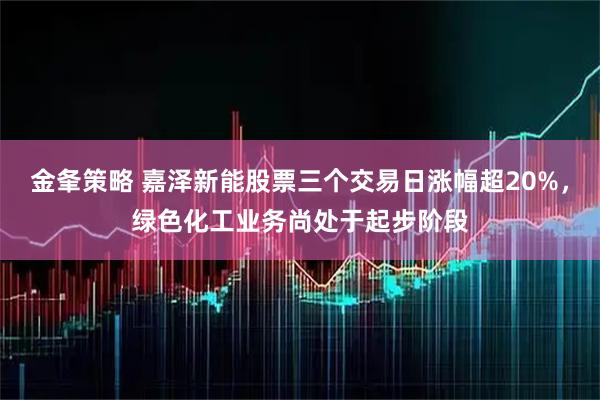 金夆策略 嘉泽新能股票三个交易日涨幅超20%，绿色化工业务尚处于起步阶段